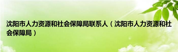 沈阳市人力资源和社会保障局联系人（沈阳市人力资源和社会保障局）