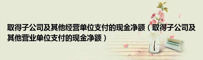 取得子公司及其他经营单位支付的现金净额（取得子公司及其他营业单位支付的现金净额）