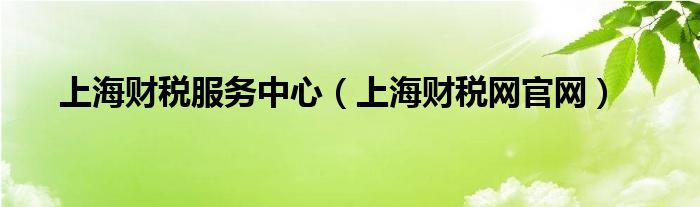 上海财税服务中心（上海财税网官网）