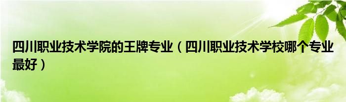 四川职业技术学院的王牌专业（四川职业技术学校哪个专业最好）