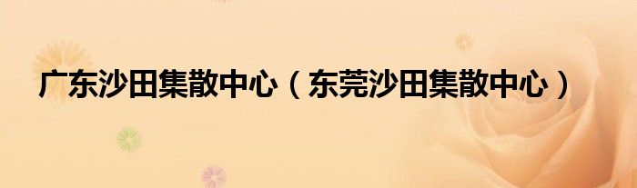 广东沙田集散中心（东莞沙田集散中心）