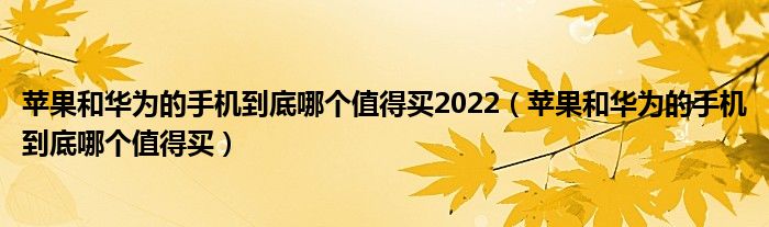 苹果和华为的手机到底哪个值得买2022（苹果和华为的手机到底哪个值得买）