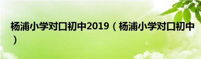 杨浦小学对口初中2019（杨浦小学对口初中）