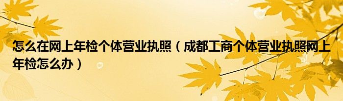 怎么在网上年检个体营业执照（成都工商个体营业执照网上年检怎么办）