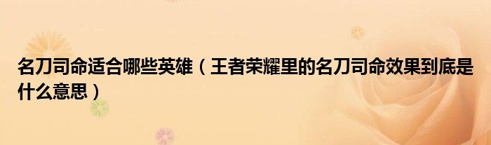 名刀司命适合哪些英雄（王者荣耀里的名刀司命效果到底是什么意思）