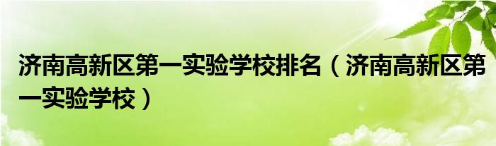 济南高新区第一实验学校排名（济南高新区第一实验学校）