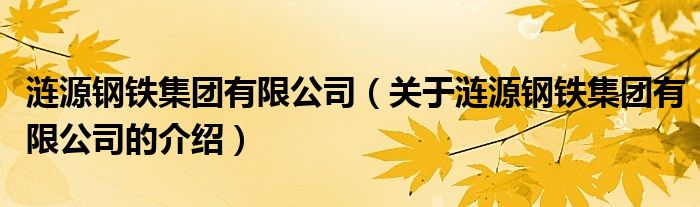 涟源钢铁集团有限公司（关于涟源钢铁集团有限公司的介绍）