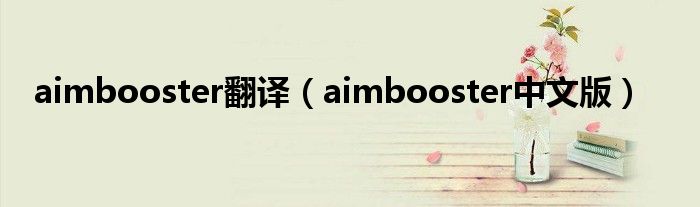 aimbooster翻译（aimbooster中文版）