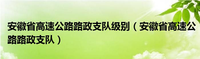 安徽省高速公路路政支队级别（安徽省高速公路路政支队）