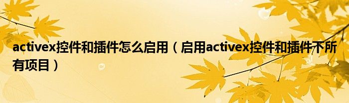 activex控件和插件怎么启用（启用activex控件和插件下所有项目）