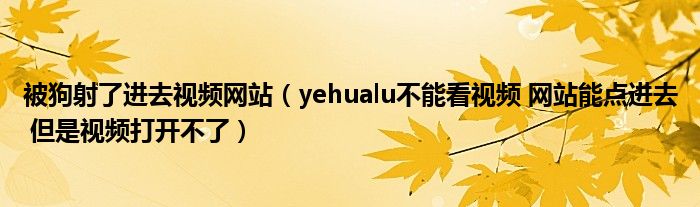 被狗射了进去视频网站（yehualu不能看视频 网站能点进去 但是视频打开不了）