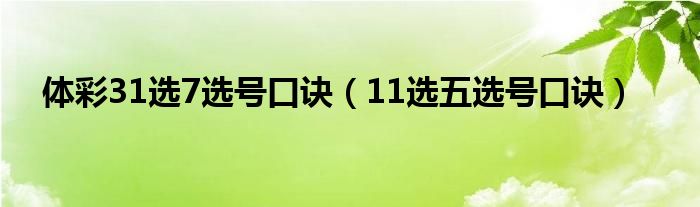 体彩31选7选号口诀（11选五选号口诀）