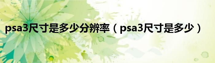 psa3尺寸是多少分辨率（psa3尺寸是多少）