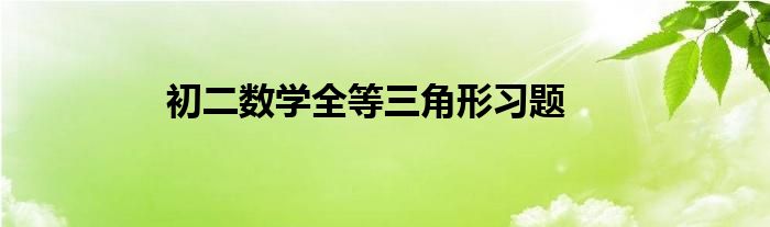 初二数学全等三角形习题