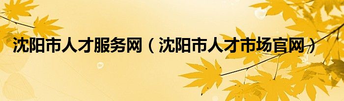 沈阳市人才服务网（沈阳市人才市场官网）