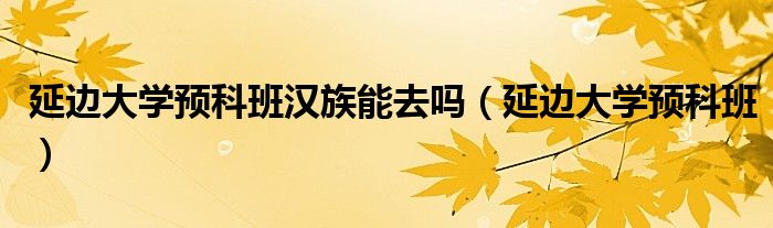 延边大学预科班汉族能去吗（延边大学预科班）