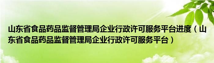 山东省食品药品监督管理局企业行政许可服务平台进度（山东省食品药品监督管理局企业行政许可服务平台）