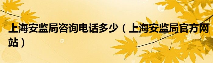 上海安监局咨询电话多少（上海安监局官方网站）