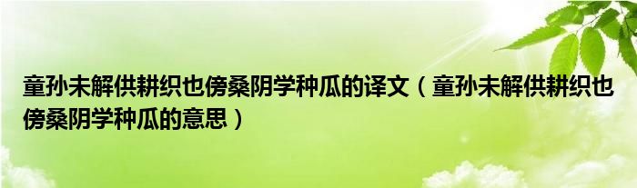 童孙未解供耕织也傍桑阴学种瓜的译文（童孙未解供耕织也傍桑阴学种瓜的意思）