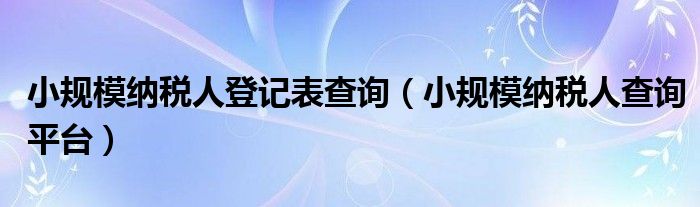 小规模纳税人登记表查询（小规模纳税人查询平台）