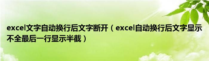 excel文字自动换行后文字断开（excel自动换行后文字显示不全最后一行显示半截）