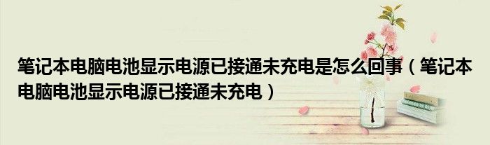 笔记本电脑电池显示电源已接通未充电是怎么回事（笔记本电脑电池显示电源已接通未充电）