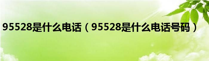 95528是什么电话（95528是什么电话号码）