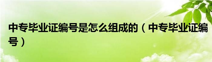 中专毕业证编号是怎么组成的（中专毕业证编号）