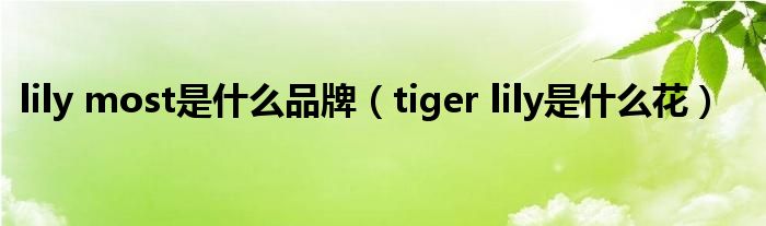 lily most是什么品牌（tiger lily是什么花）