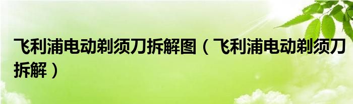 飞利浦电动剃须刀拆解图（飞利浦电动剃须刀拆解）