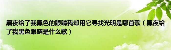 黑夜给了我黑色的眼睛我却用它寻找光明是哪首歌（黑夜给了我黑色眼睛是什么歌）