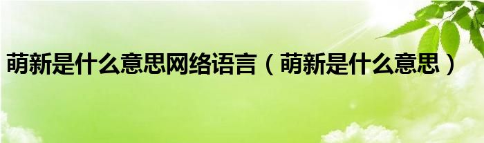 萌新是什么意思网络语言（萌新是什么意思）