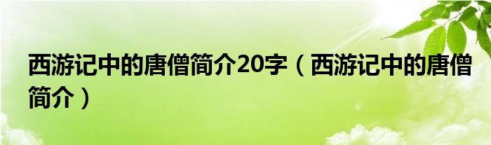 西游记中的唐僧简介20字（西游记中的唐僧简介）