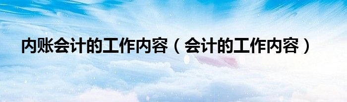 内账会计的工作内容（会计的工作内容）