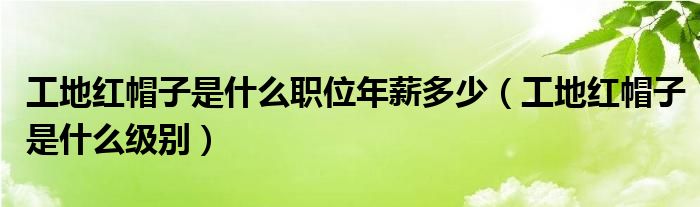 工地红帽子是什么职位年薪多少（工地红帽子是什么级别）