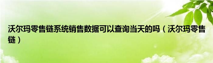 沃尔玛零售链系统销售数据可以查询当天的吗（沃尔玛零售链）