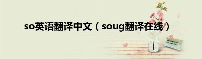 so英语翻译中文（soug翻译在线）