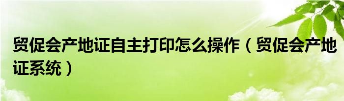 贸促会产地证自主打印怎么操作（贸促会产地证系统）