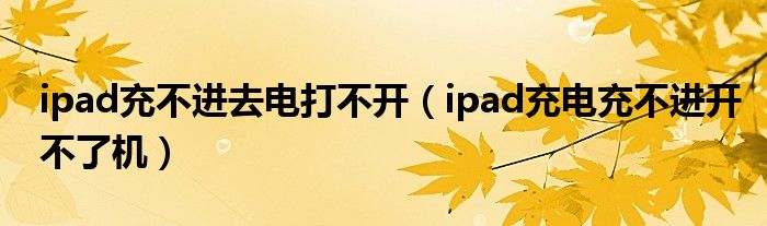 ipad充不进去电打不开（ipad充电充不进开不了机）