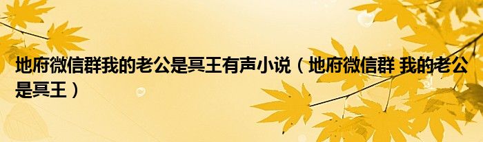 地府微信群我的老公是冥王有声小说（地府微信群 我的老公是冥王）