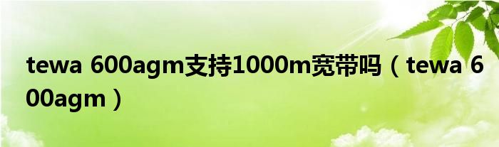 tewa 600agm支持1000m宽带吗（tewa 600agm）