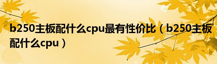 b250主板配什么cpu最有性价比（b250主板配什么cpu）