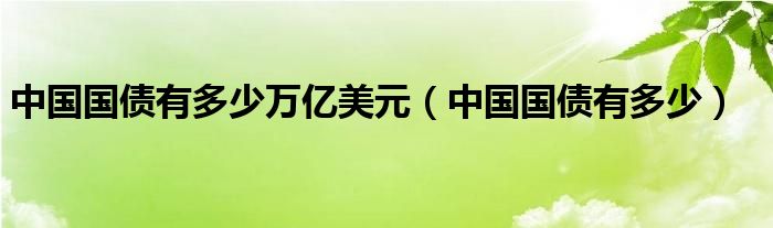 中国国债有多少万亿美元（中国国债有多少）