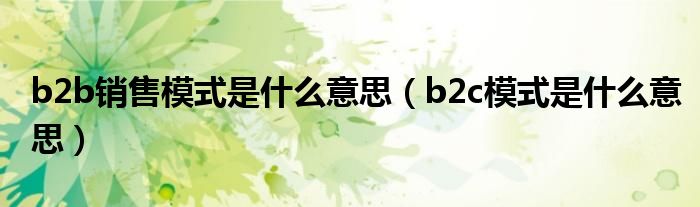 b2b销售模式是什么意思（b2c模式是什么意思）