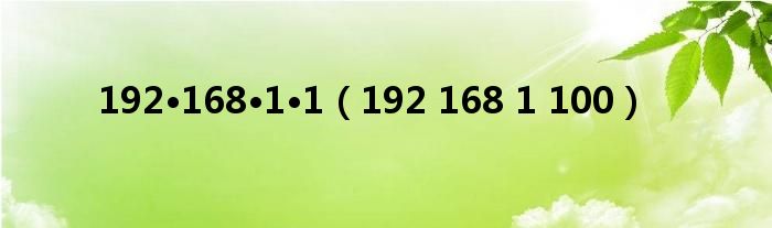 192•168•1•1（192 168 1 100）