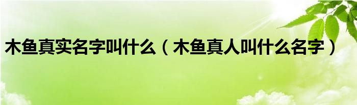 木鱼真实名字叫什么（木鱼真人叫什么名字）