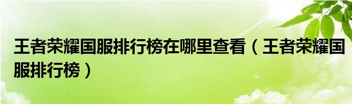 王者荣耀国服排行榜在哪里查看（王者荣耀国服排行榜）