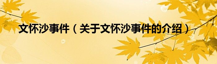 文怀沙事件（关于文怀沙事件的介绍）