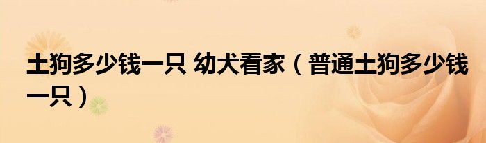 土狗多少钱一只 幼犬看家（普通土狗多少钱一只）