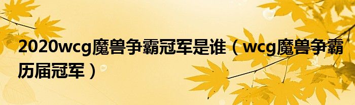 2020wcg魔兽争霸冠军是谁（wcg魔兽争霸历届冠军）